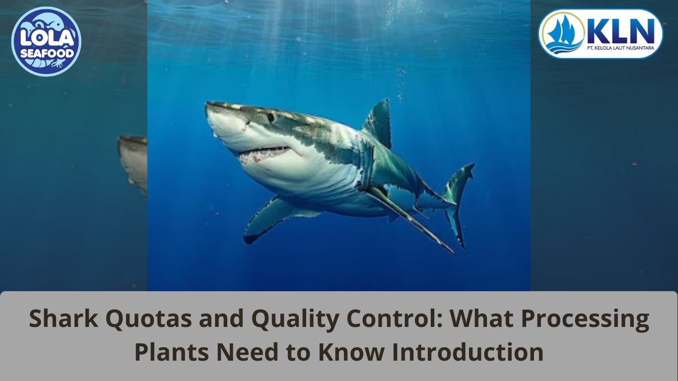 Shark Quotas and Quality Control: What Processing Plants Need to Know 